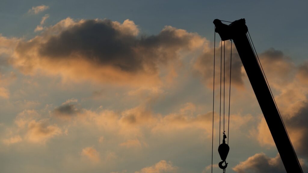 Crane in the sunset
